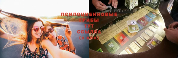 мяу мяу мука Абдулино