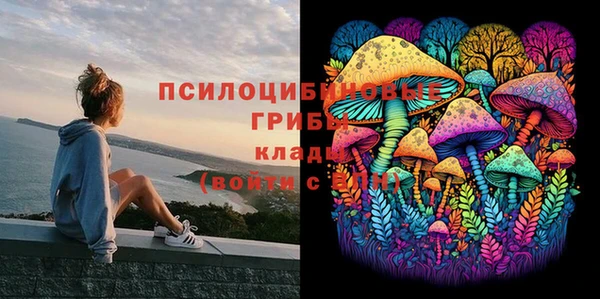 спайс Алексин