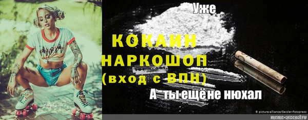 мяу мяу мука Абдулино