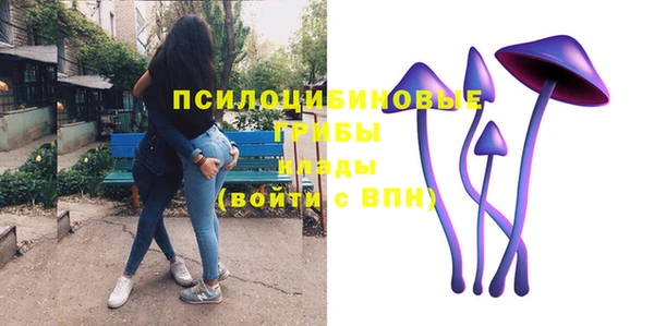 мяу мяу мука Абдулино